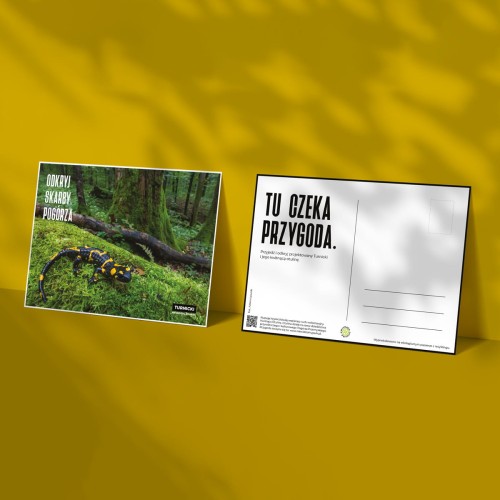 wizualizacja_3.jpg